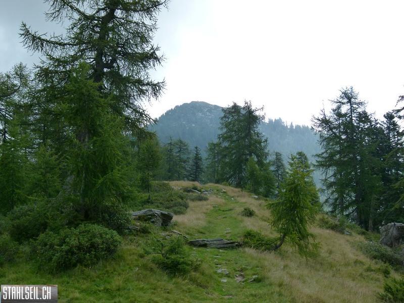 k-P1140696.JPG