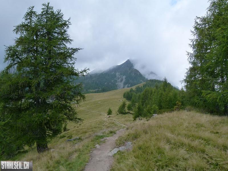 k-P1140698.JPG