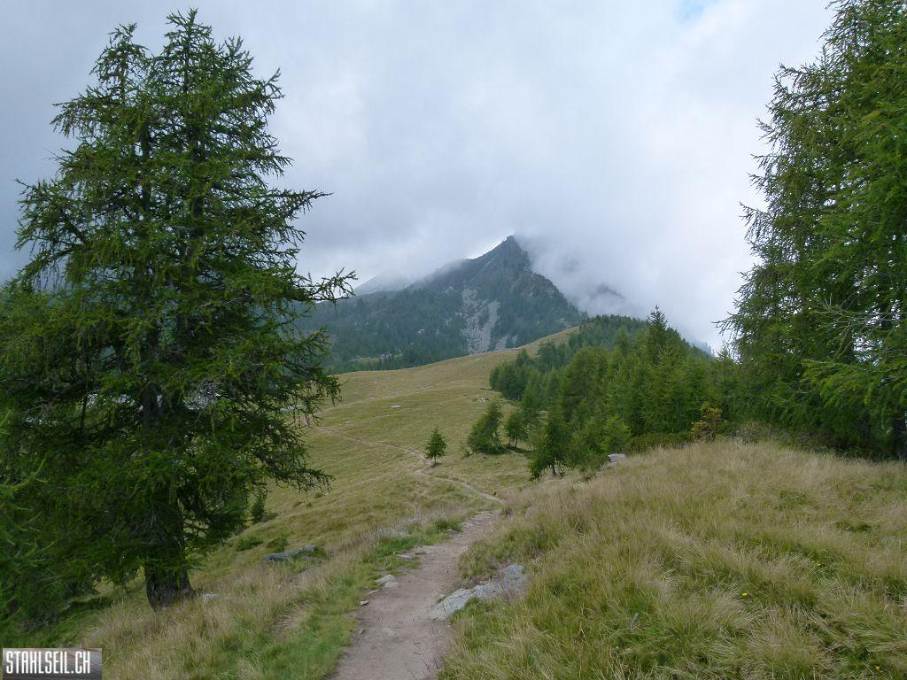 k-P1140698.JPG