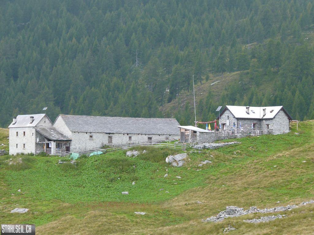 k-P1140700.JPG