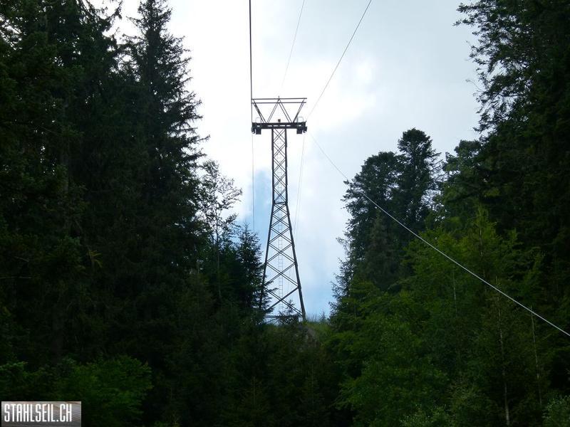 k-P1140717.JPG