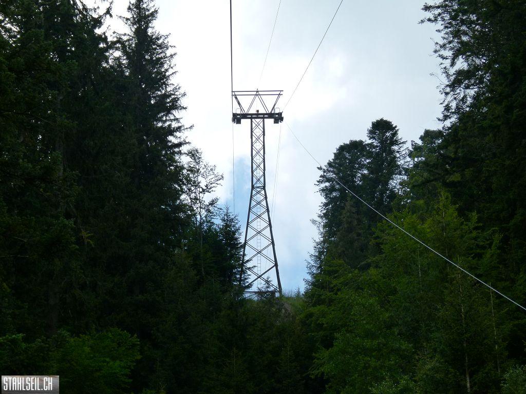 k-P1140717.JPG