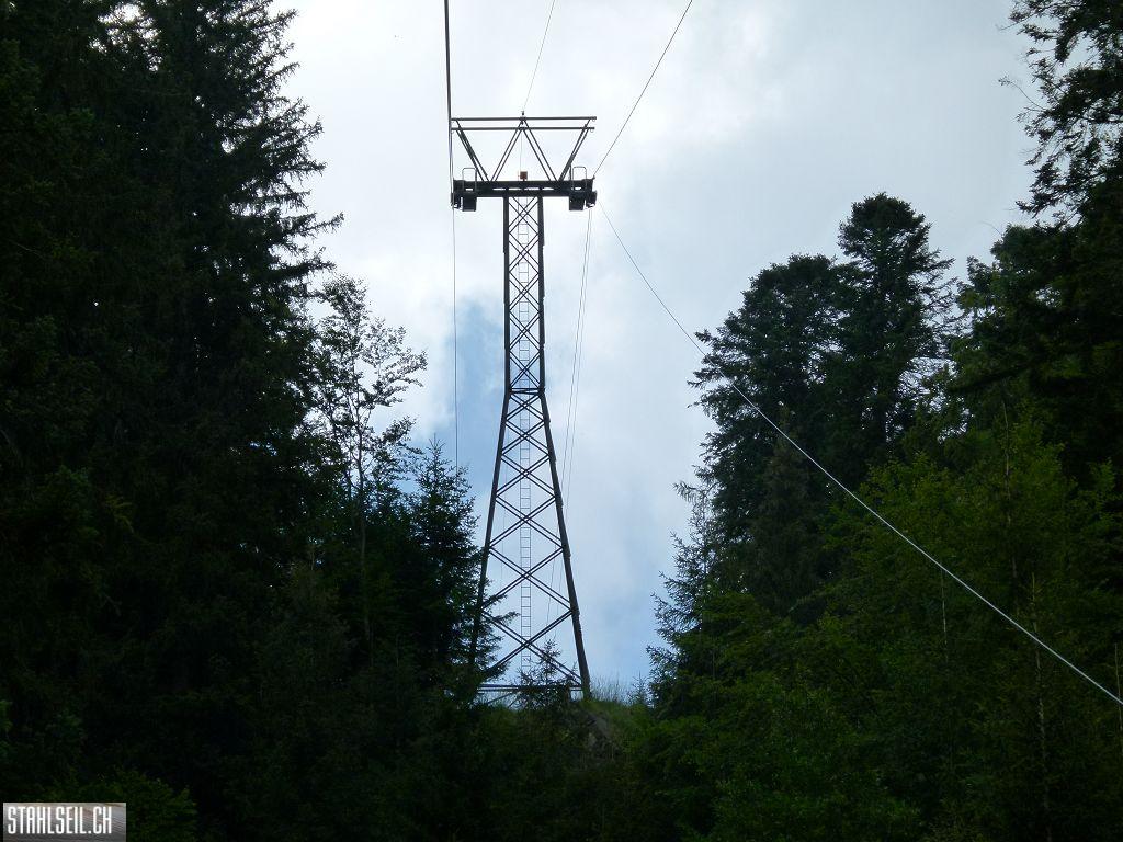 k-P1140718.JPG