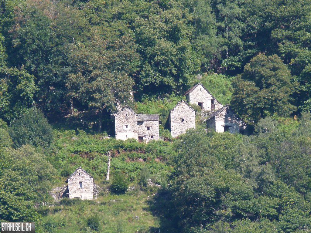 k-P1140092.JPG