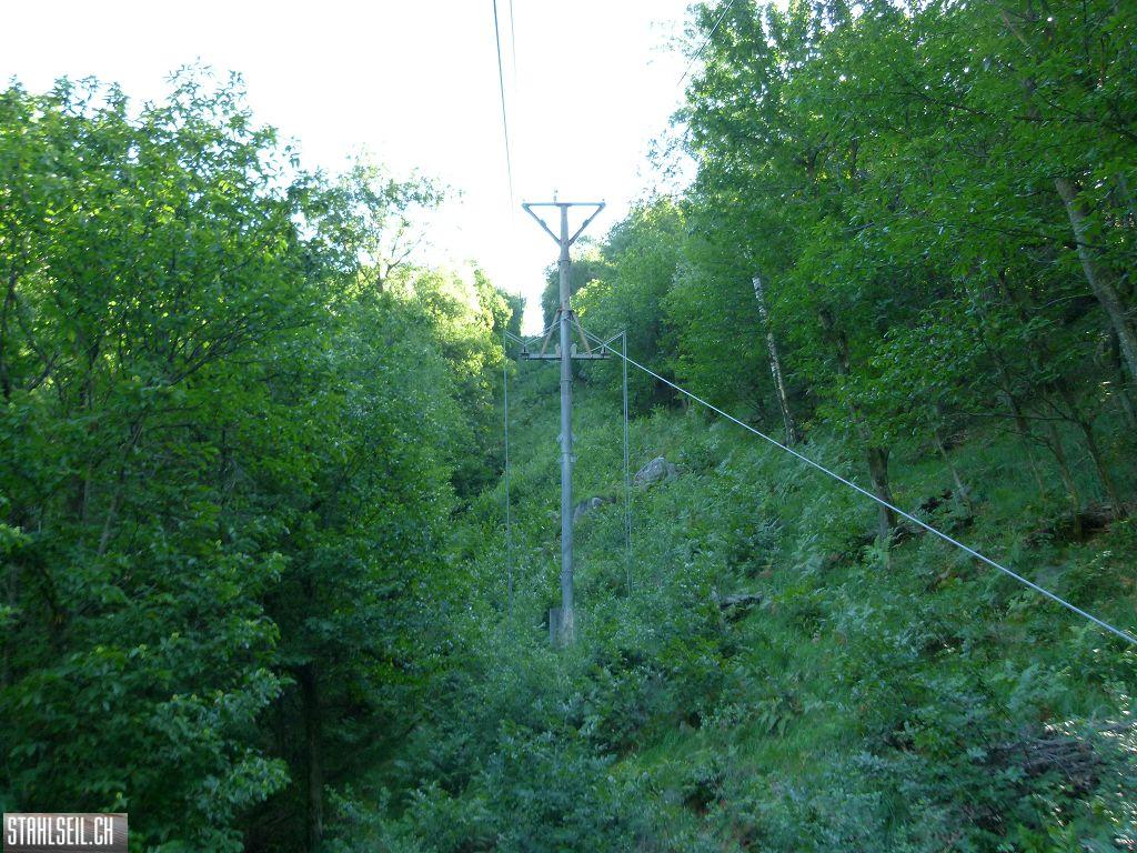 k-P1140115.JPG