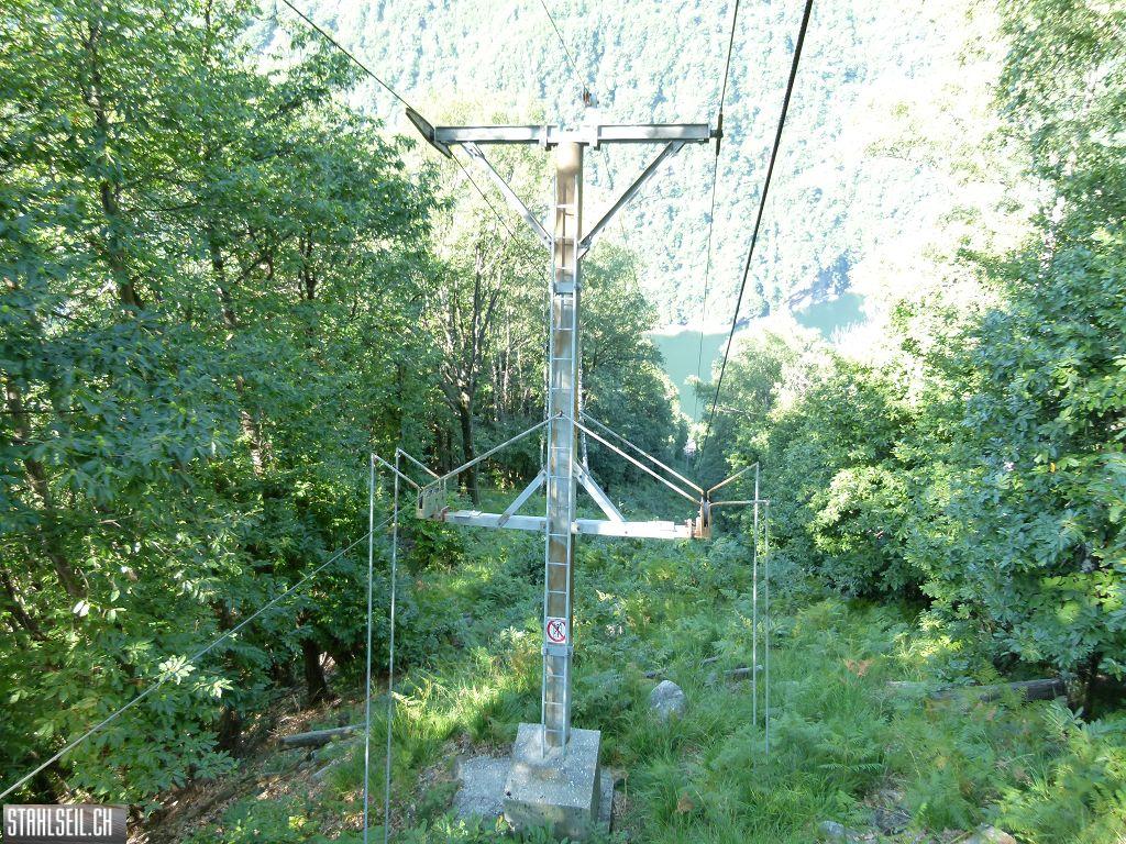 k-P1140126.JPG