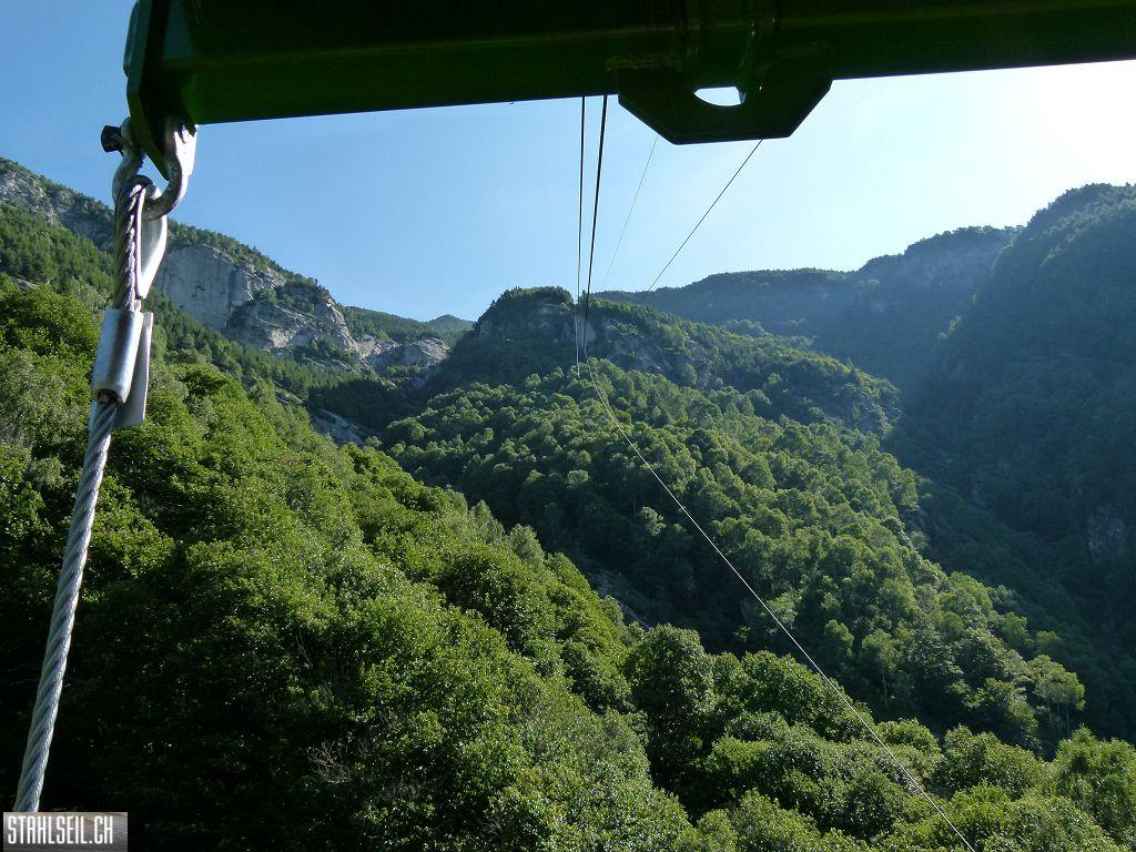 k-P1140135.JPG