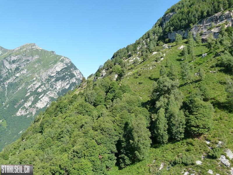 k-P1140143.JPG