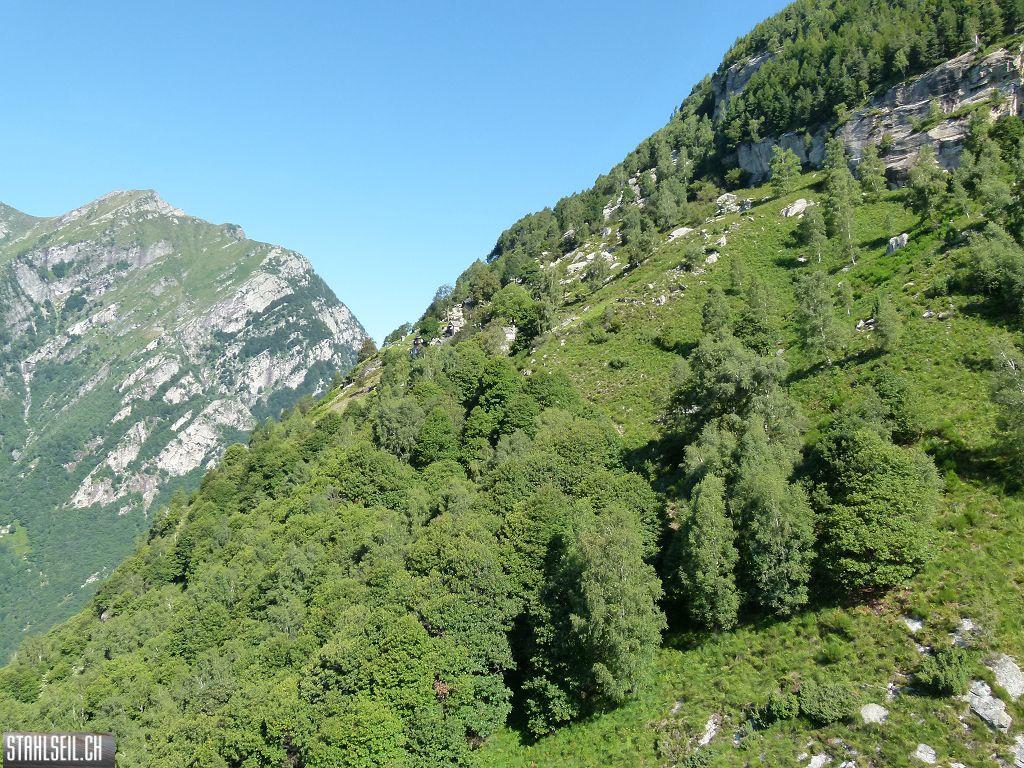 k-P1140143.JPG