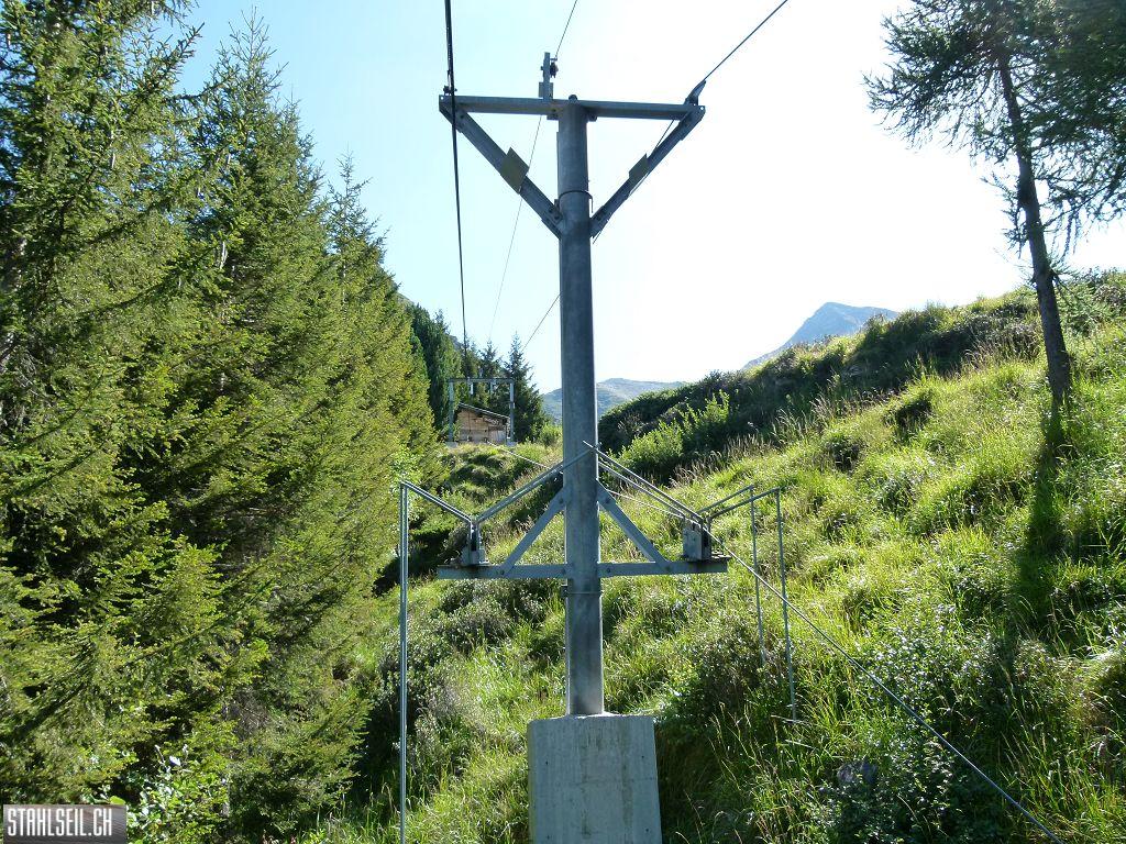 k-P1140185.JPG