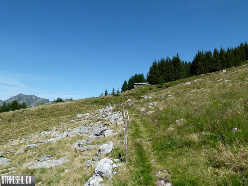 k-P1140240.JPG