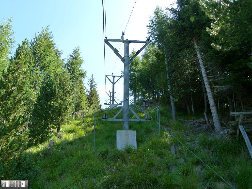 k-P1140293.JPG
