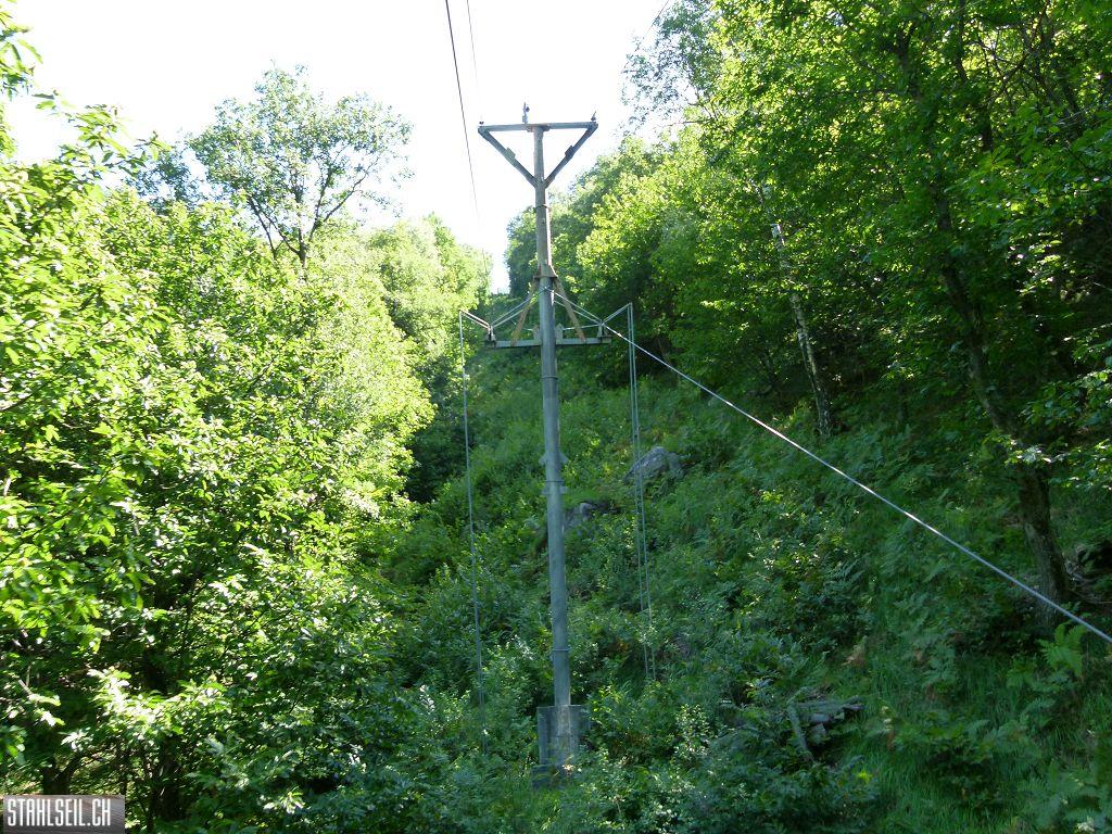 k-P1140344.JPG