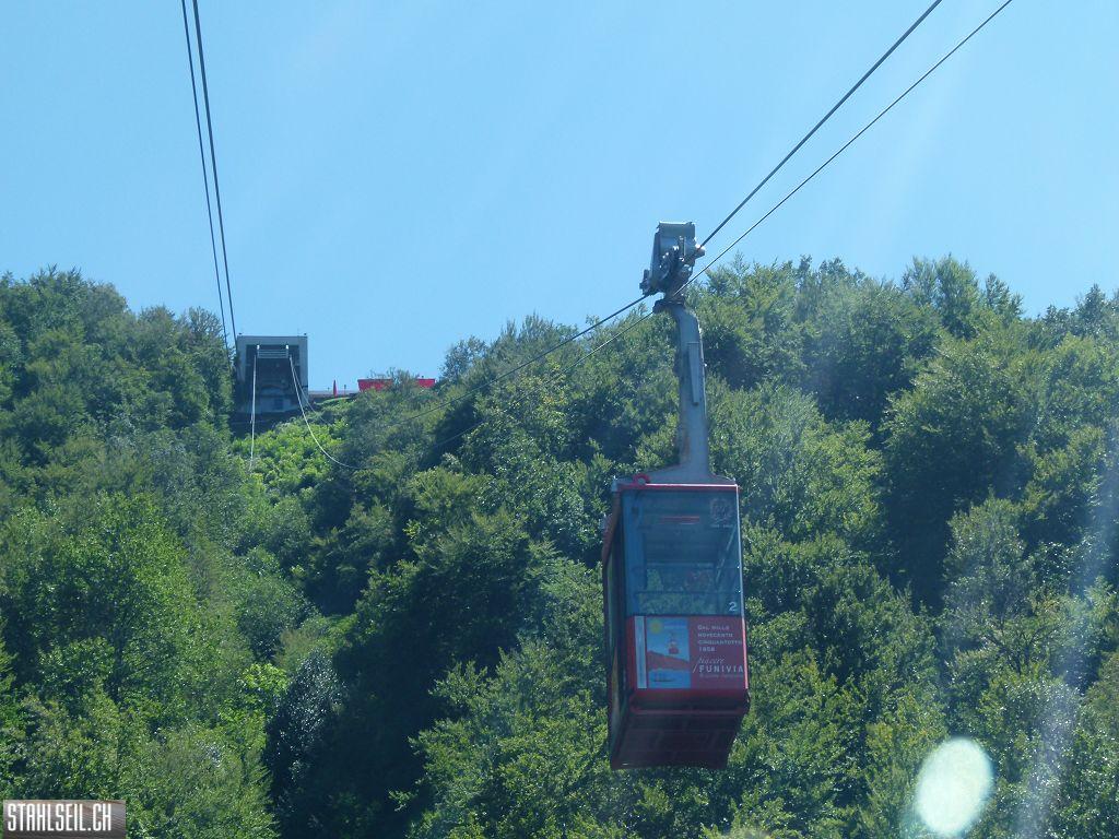 k-P1130741.JPG