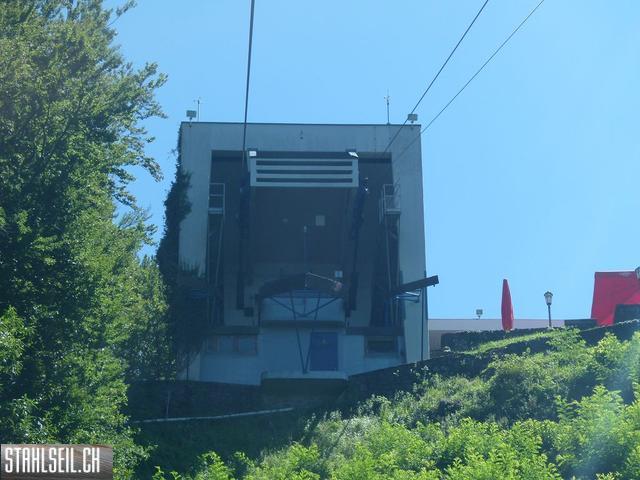 k-P1130751.JPG
