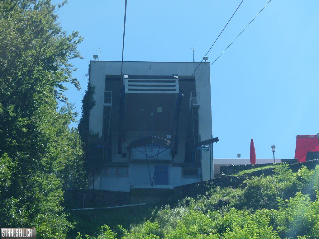 k-P1130751.JPG