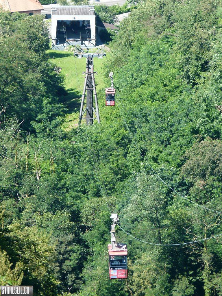k-P1130791.JPG