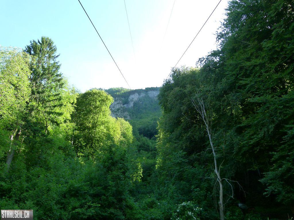 k-P1110931.JPG