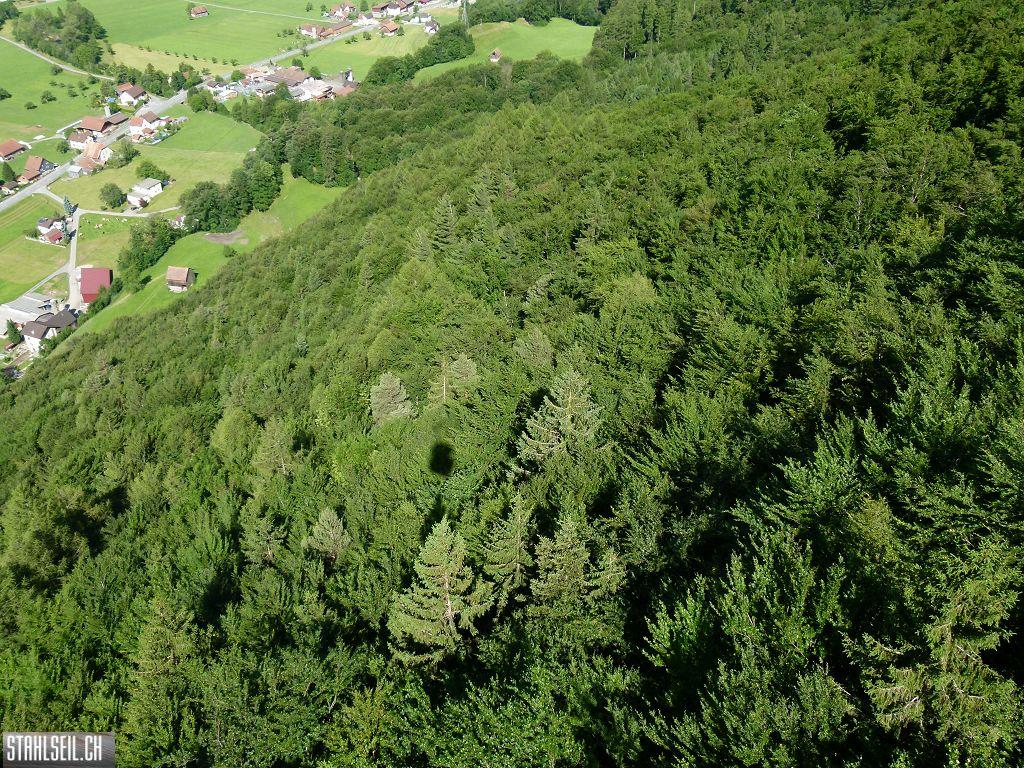 k-P1110943.JPG