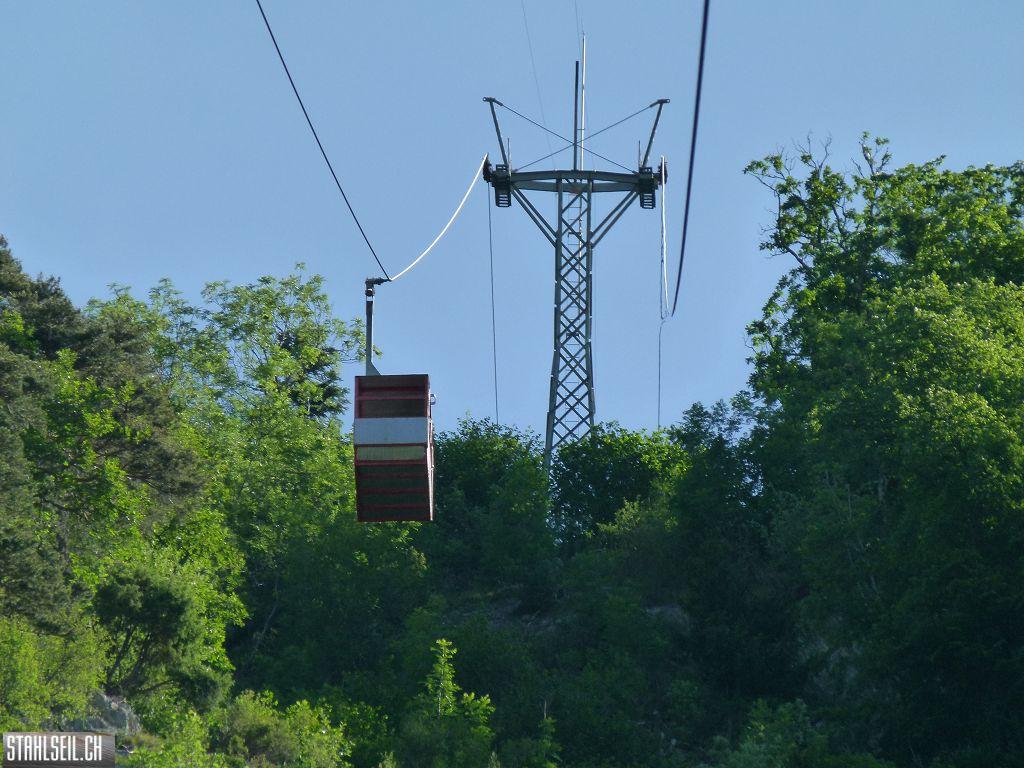 k-P1110951.JPG