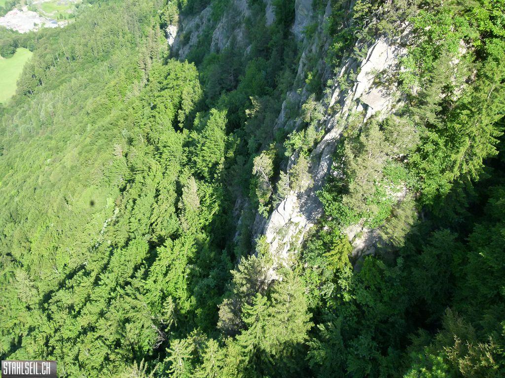 k-P1110953.JPG