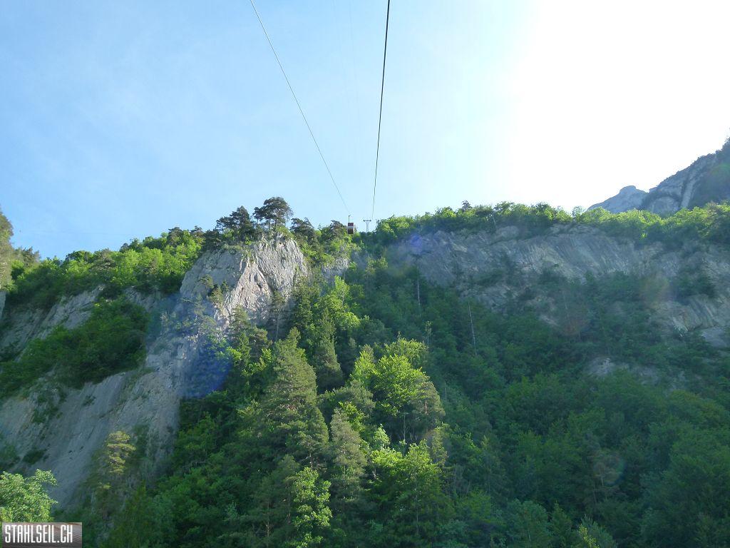 k-P1110955.JPG