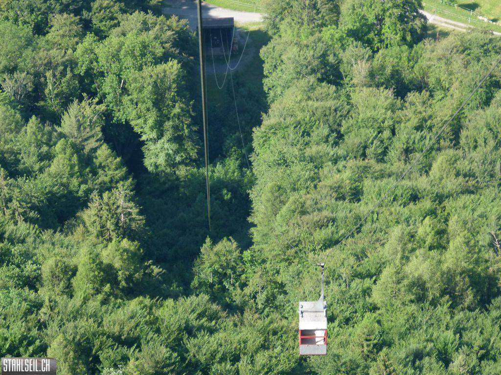 k-P1110968.JPG