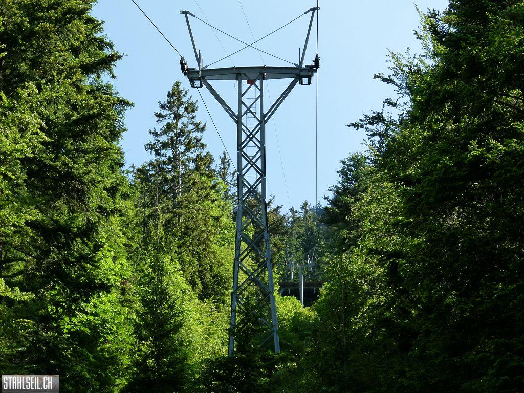 k-P1110979.JPG