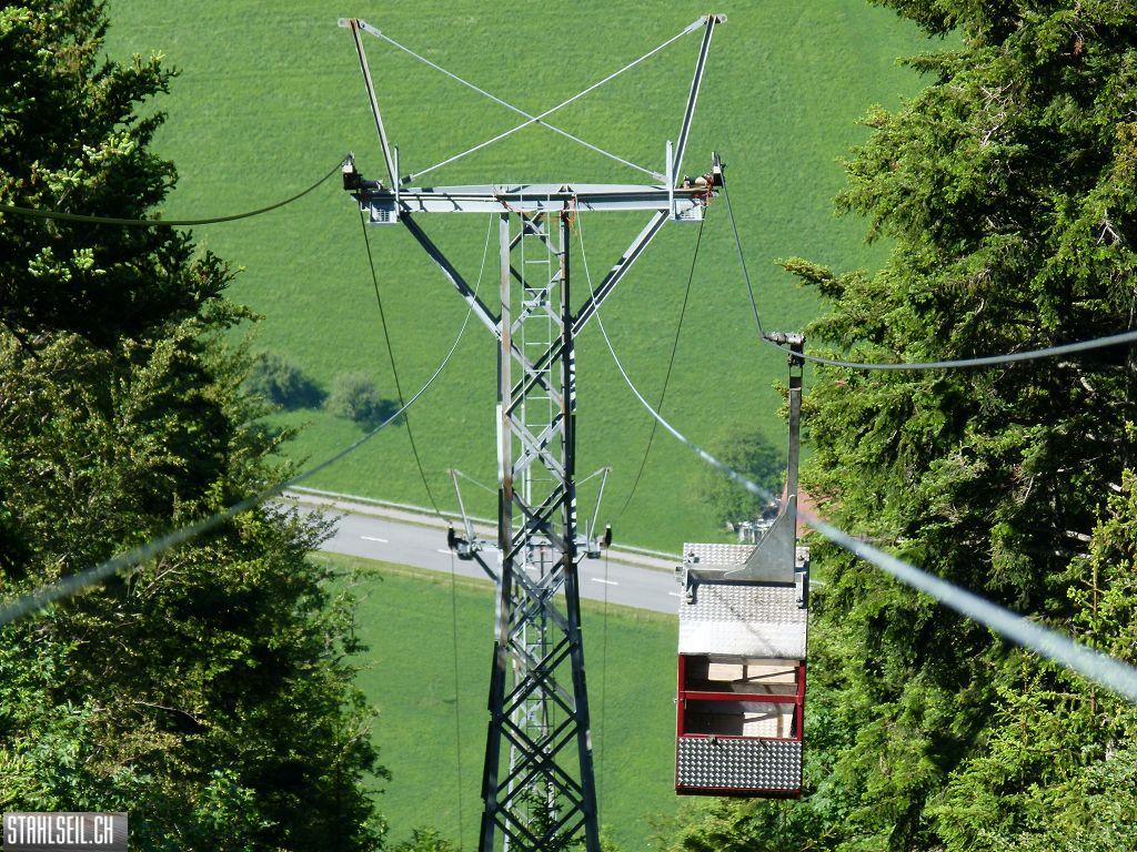 k-P1120046.JPG