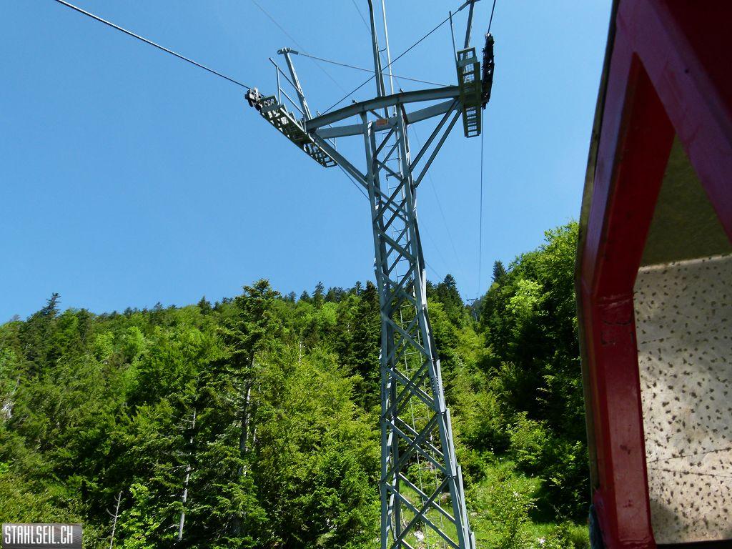 k-P1120144.JPG