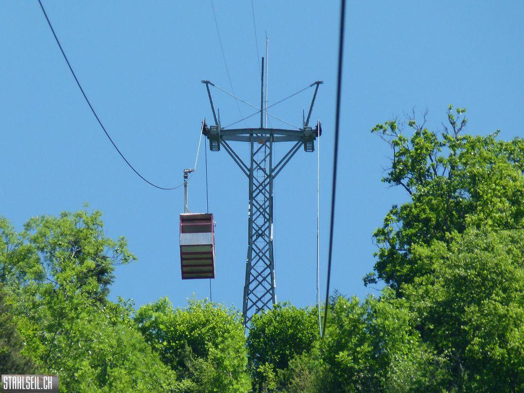 k-P1120161.JPG
