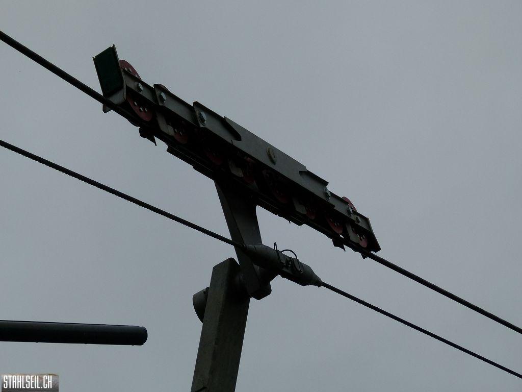 k-P1120797.JPG