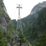k-P1120809.JPG