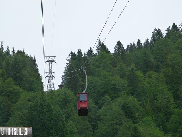 k-P1120815.JPG