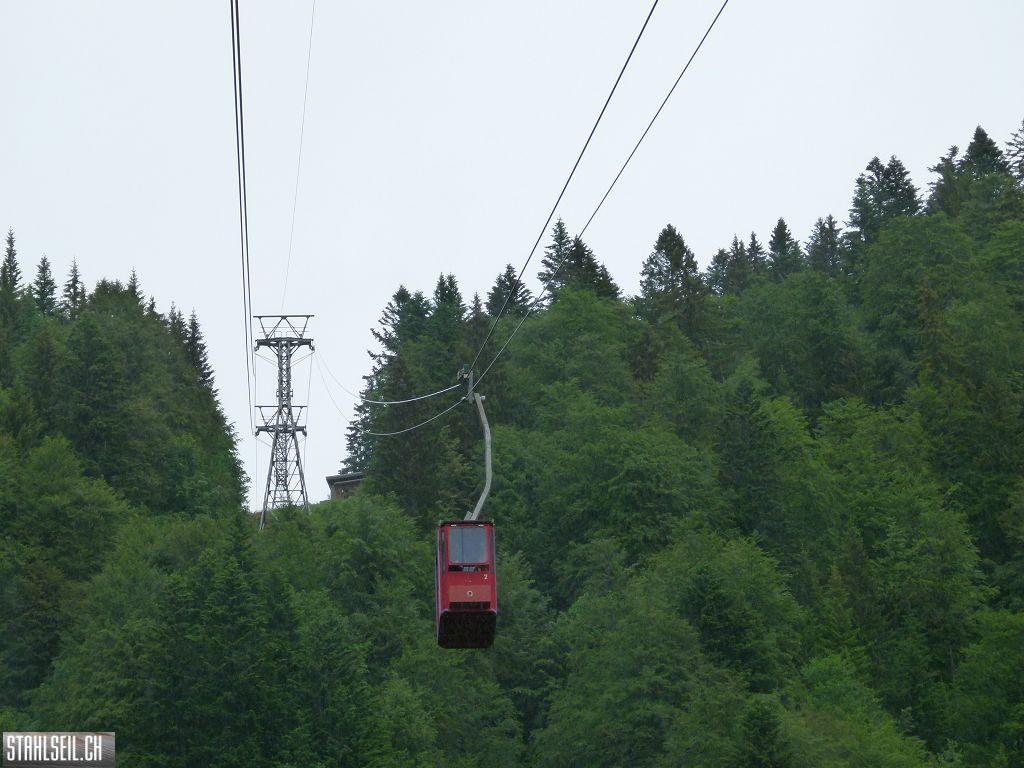 k-P1120815.JPG