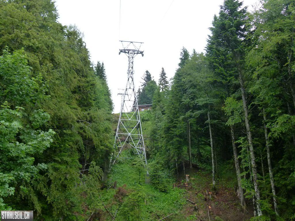 k-P1120820.JPG