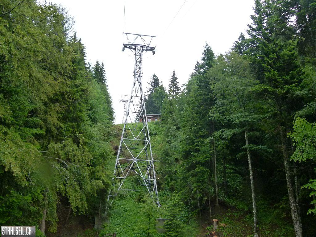k-P1120821.JPG