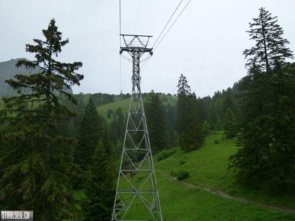 k-P1120824.JPG