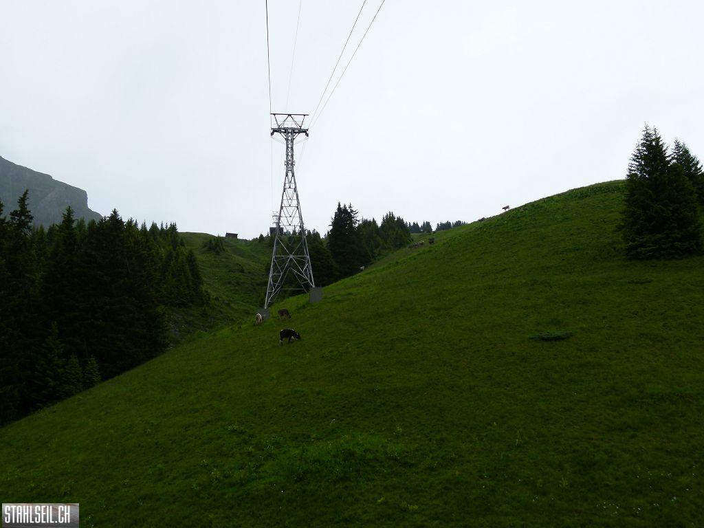 k-P1120825.JPG