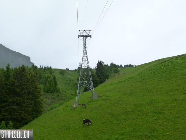 k-P1120826.JPG