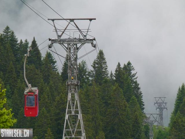 k-P1120843.JPG