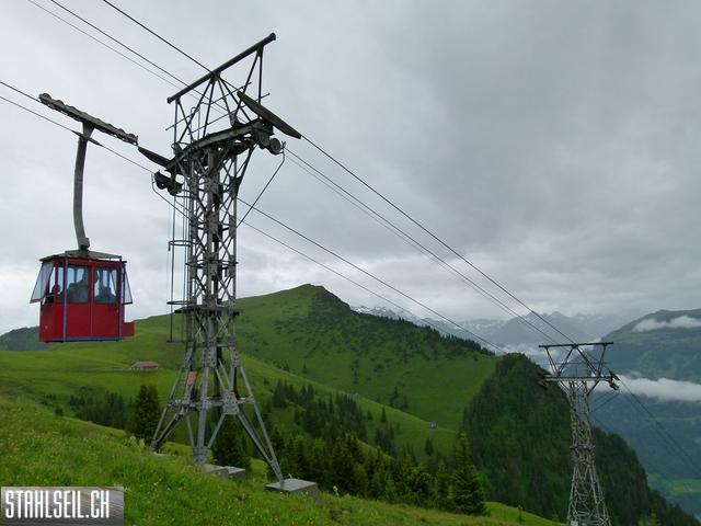 k-P1120847.JPG