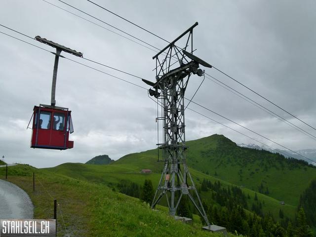 k-P1120848.JPG