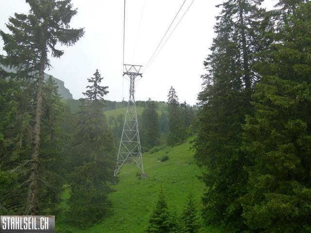k-P1120823.JPG