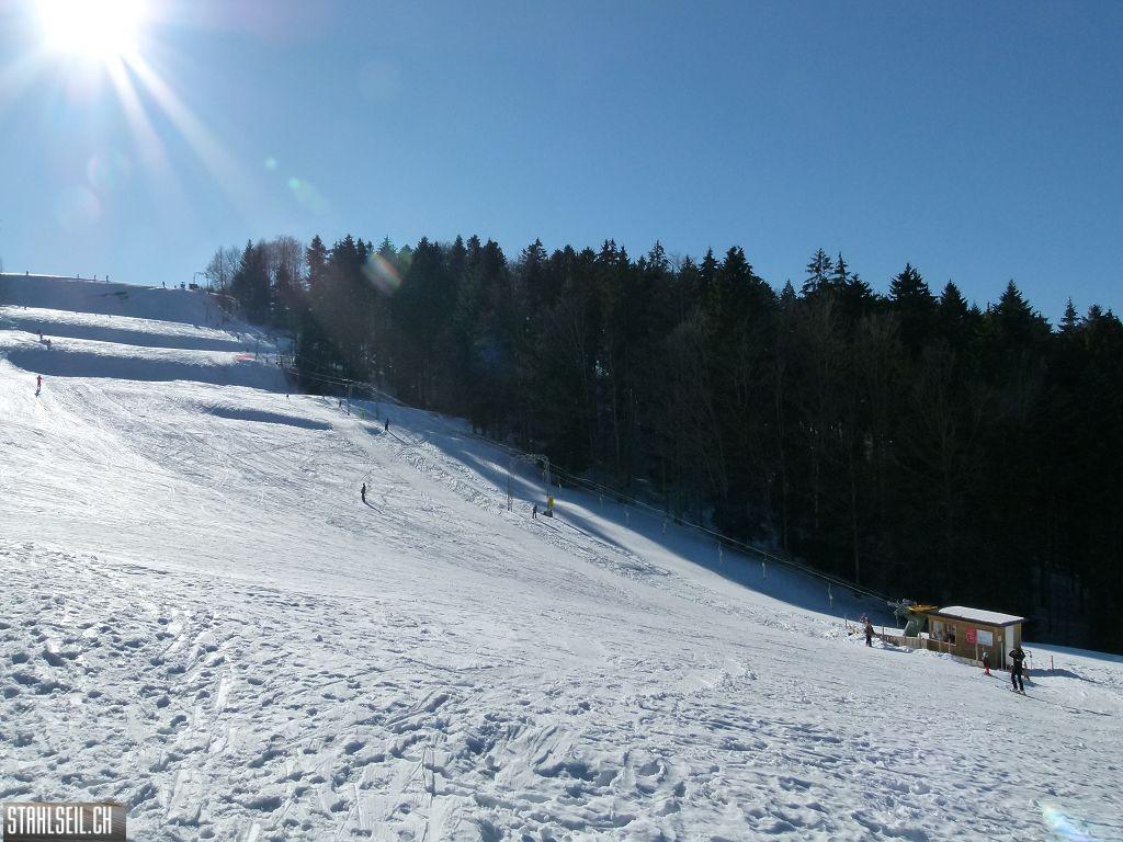 k-P1300092.JPG