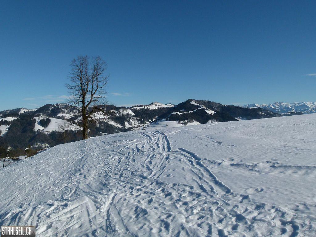 k-P1300146.JPG