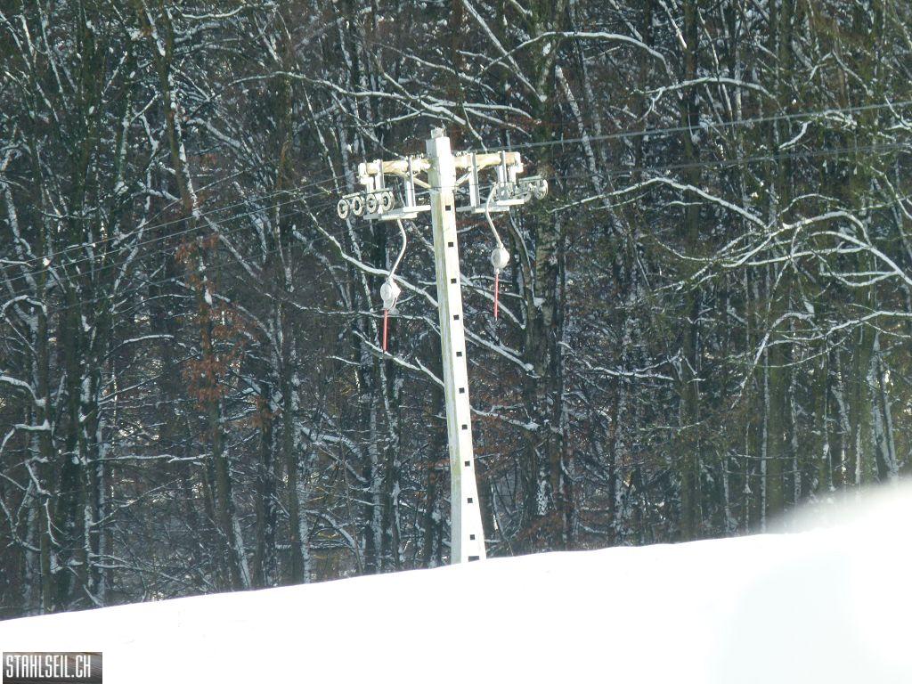k-P1240997.JPG