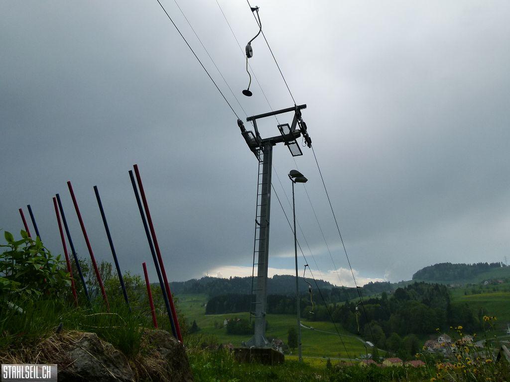 k-P1100564.JPG