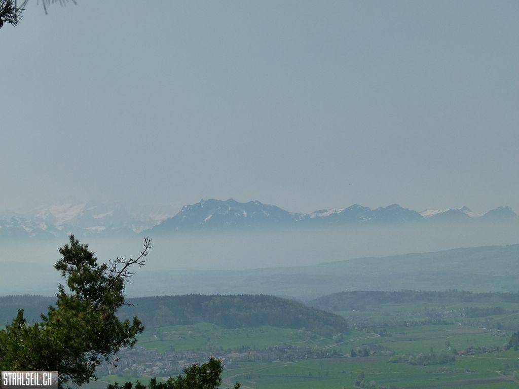 k-P1090953.JPG