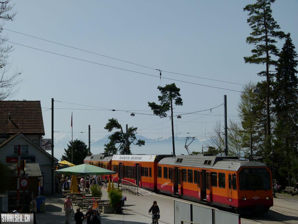 k-P1090958.JPG